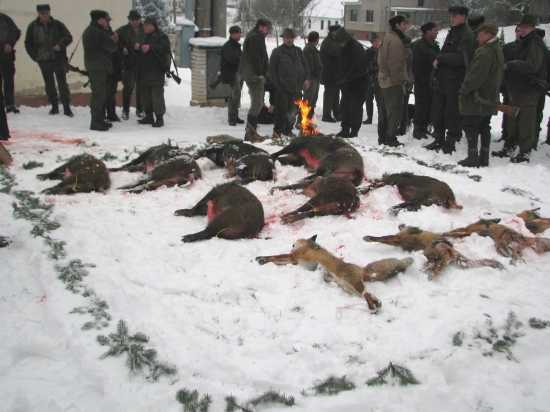výřad Rudice 2010