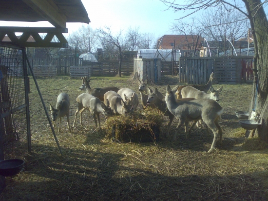 rodinná fotka