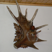 losia bocna lampa