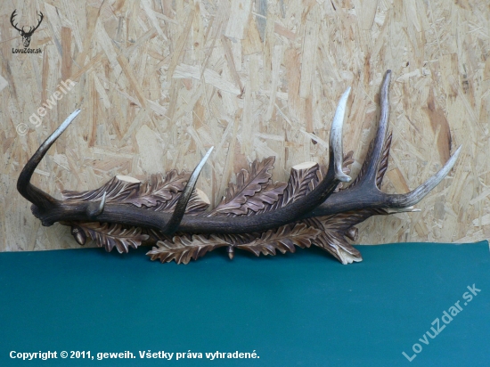 vesiak 90cm vaha zhodu 2kg