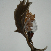 dalsia
