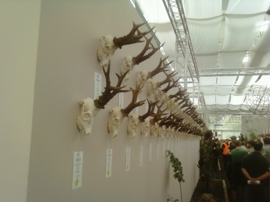 polovnicka vystava Bratislava 2010