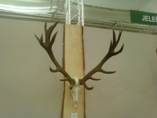 polovnicka vystava Bratislava 2010