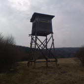 ....................................