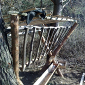 este nedostavany a mame16 rokov