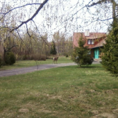 jelenica ale je velmi daleko