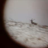 dnesna ranna prechadzka