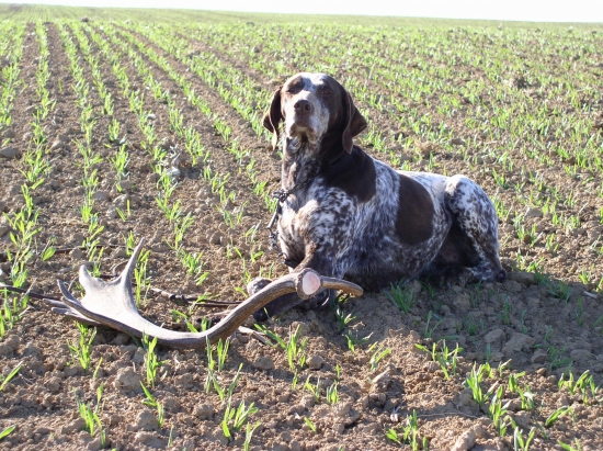 ANITA a môj prvý zhod 