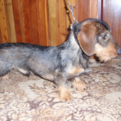 James 10 mesiacov