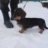 Jenny 10 mesiacov