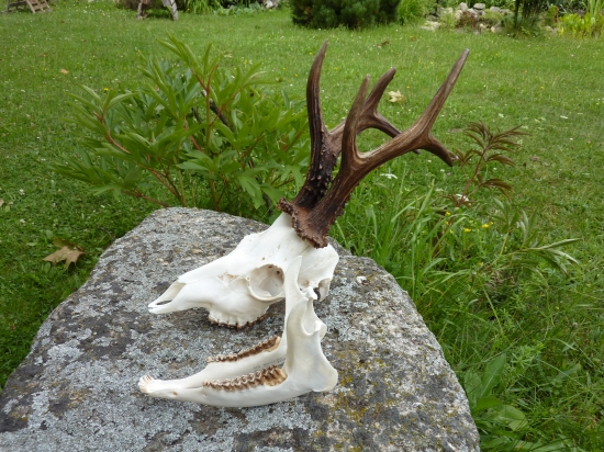 pravděpodobně bronzový