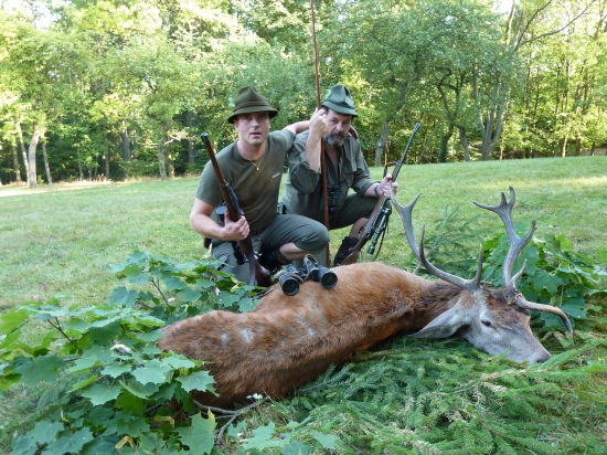 můj životní jelen