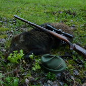 květnový