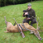 můj letošní jelen