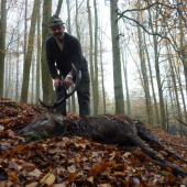 jelen mého velkého kamaráda
