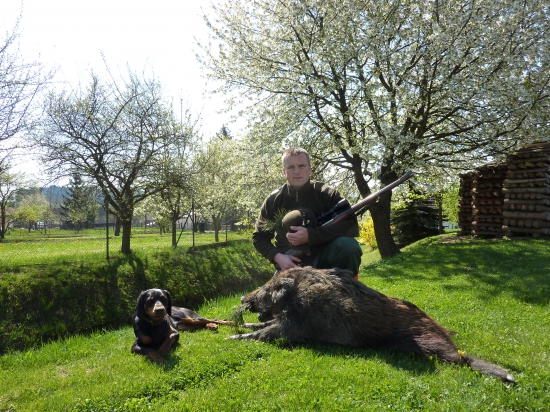 pod rozkvetlou třešní