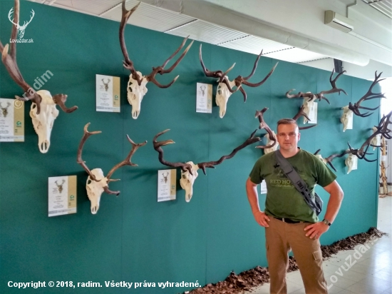 Natura Viva 2018 - kolekce raritních jelenů
