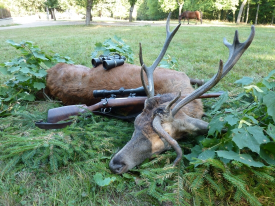 A ještě jednou a naposledy můj životní