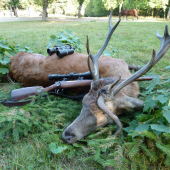A ještě jednou a naposledy můj životní
