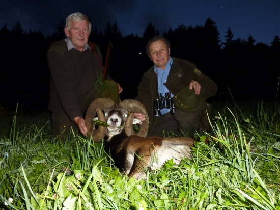 kamarádův včerejší muflon k životnímu jubileu