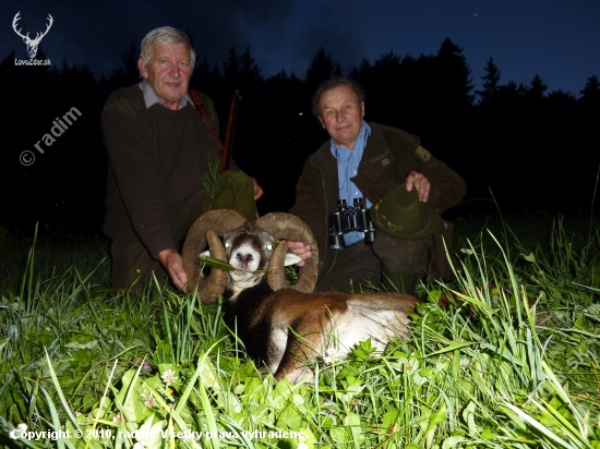 kamarádův včerejší muflon k životnímu jubileu
