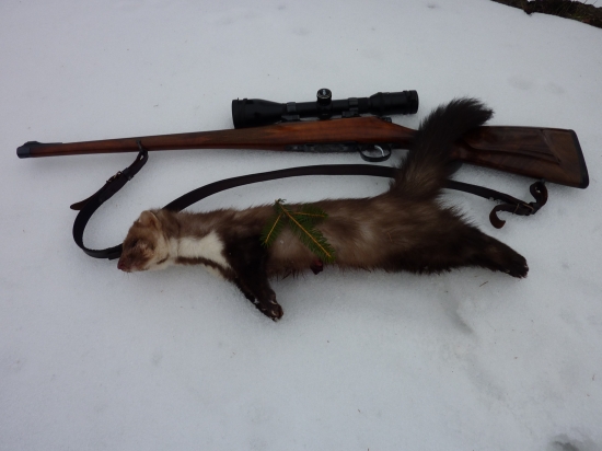 můj první úlovek roku 2011