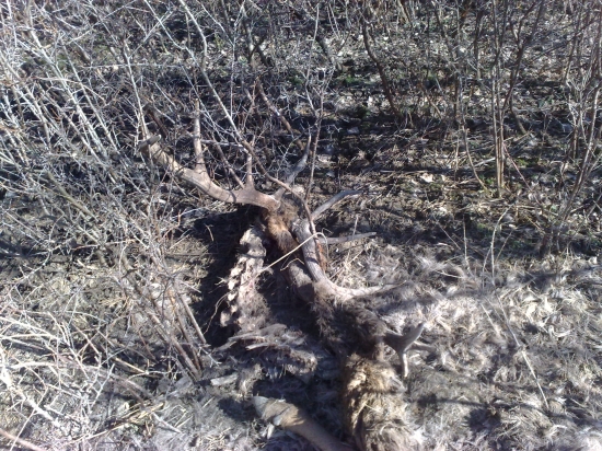 prvý krát na zhodoch