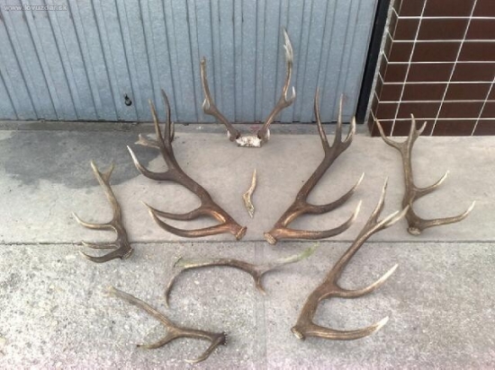 moja tohtorocna zatva