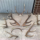 moja tohtorocna zatva