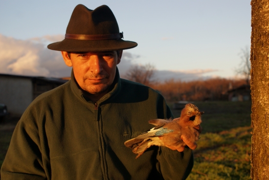 lovec ...dalsia sojka