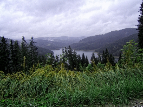 Harvelka,Riecnica,Stanova rieka