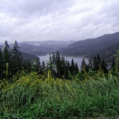 Harvelka,Riecnica,Stanova rieka