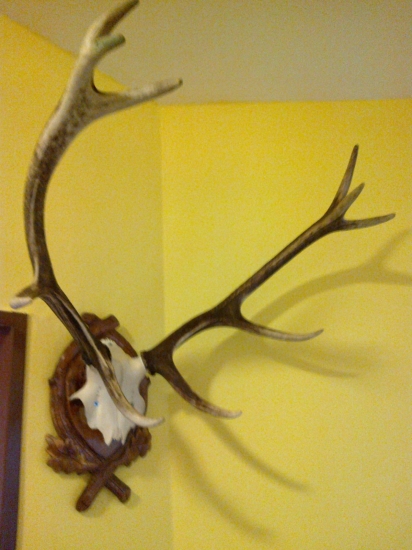 No konečne aj doma 1 : - )