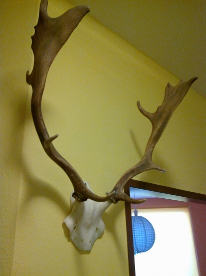 No konečne aj doma 2 : - )