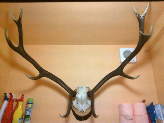 Neviem kam s ním tak zatiaľ WC.