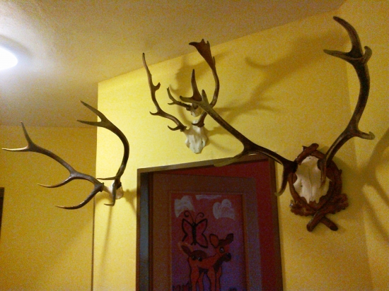 Zbierka sa rozrastá.