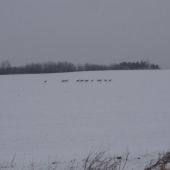 Skupinka od Teplice.