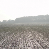 Skupinka pod hradom.