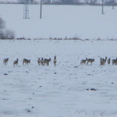 Skupinka od Teplice.