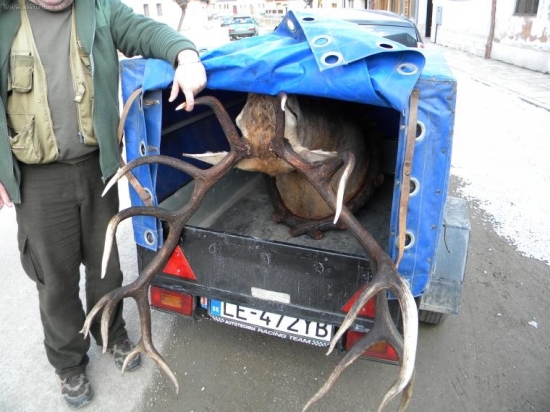 Pokus o pomoc s prepravou na vystavu.Nevydalo.