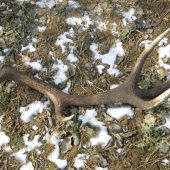 Skoda že nieje môj.