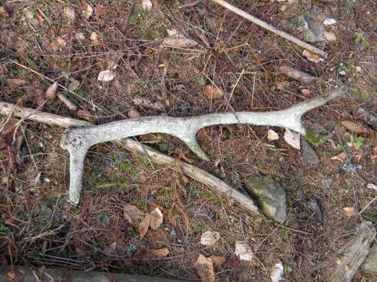 Treti.No zas starý.