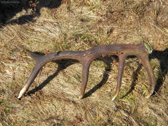 Ten istý zaťah len nie moj 1.