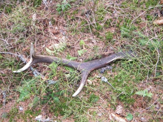 Ten istý zaťah len nie moj 2.