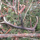 Ten istý zaťah len nie moj 3.