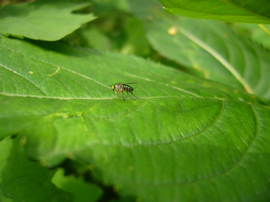 Náklon pred odletom
