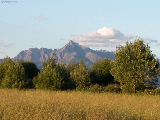 Kriváň