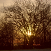 Na dnešnej prechádzke