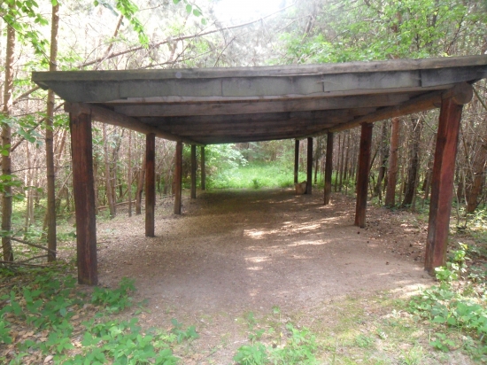 Pred 10 sekundami tu bola jelenica