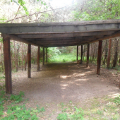 Pred 10 sekundami tu bola jelenica